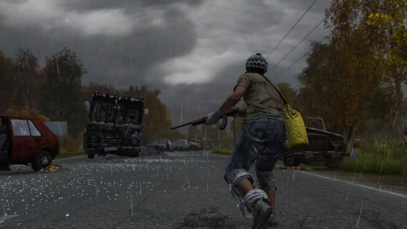 DayZ official gameplay screenshot showing survival items