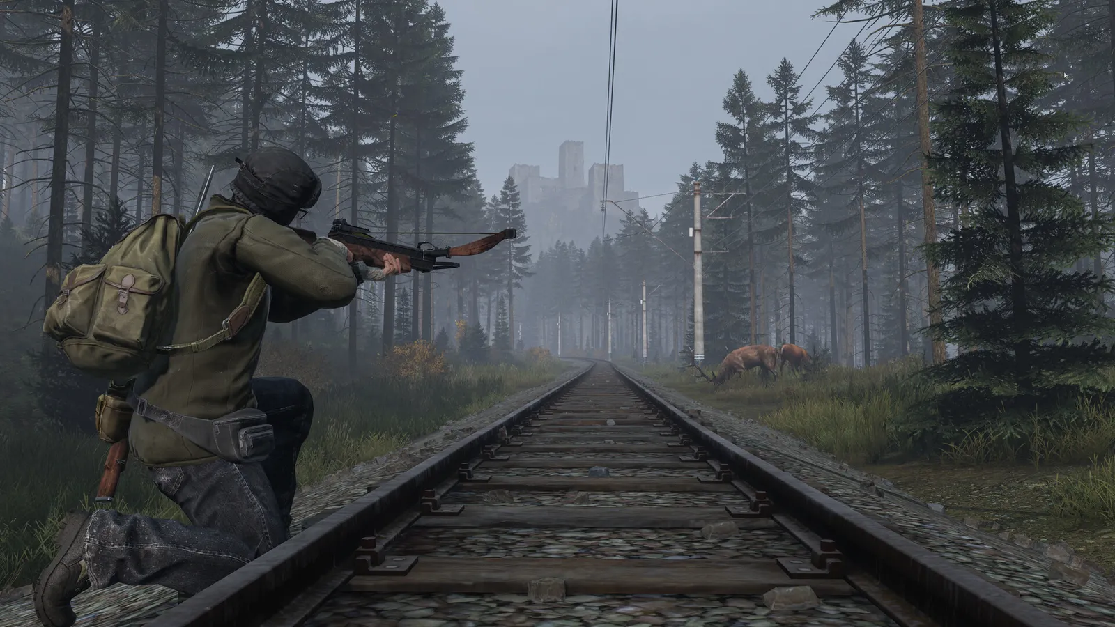 DayZ official store screenshot showing open-world survival gameplay