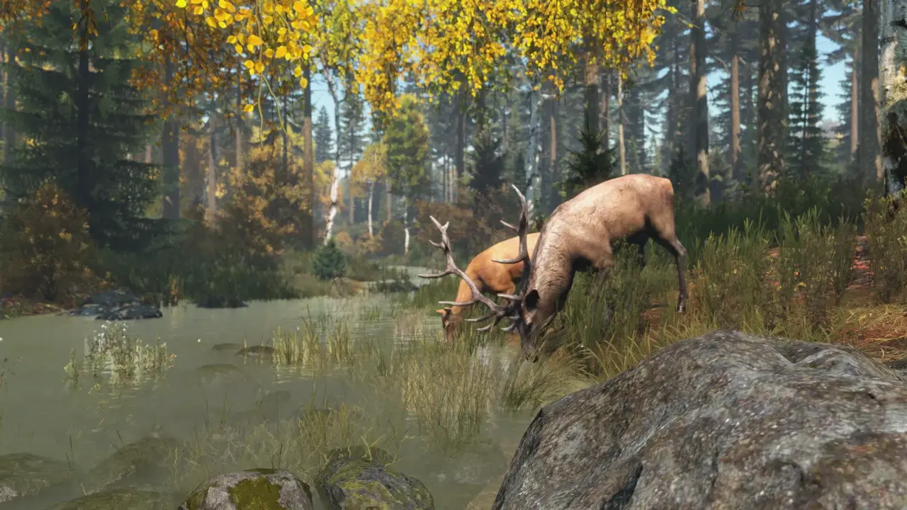 DayZ official store screenshot showing open-world survival gameplay
