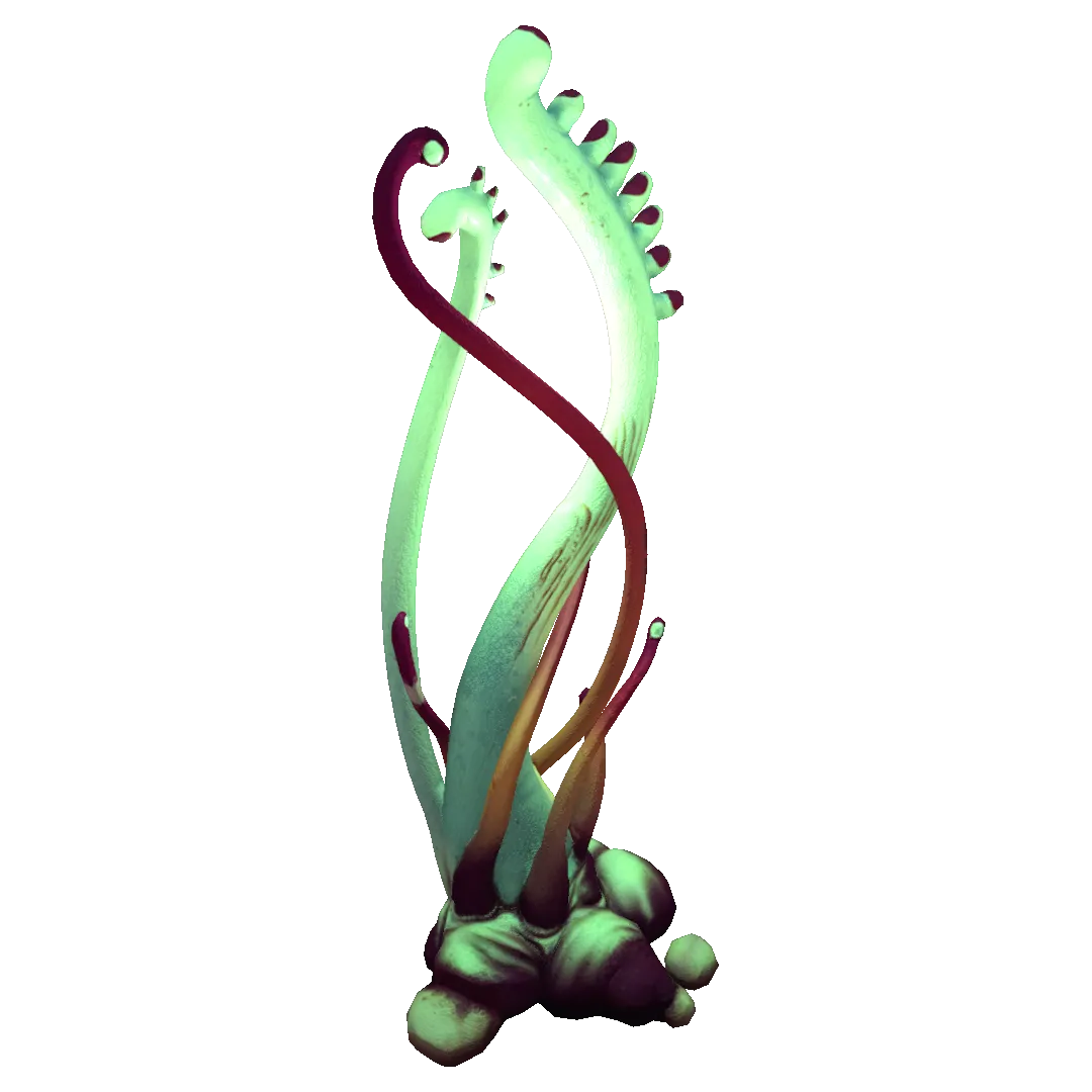 Ghost Weed plant growing on the seabed