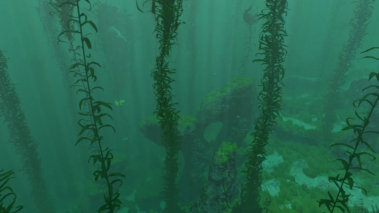 Official Subnautica wiki screenshot of the Kelp Forest