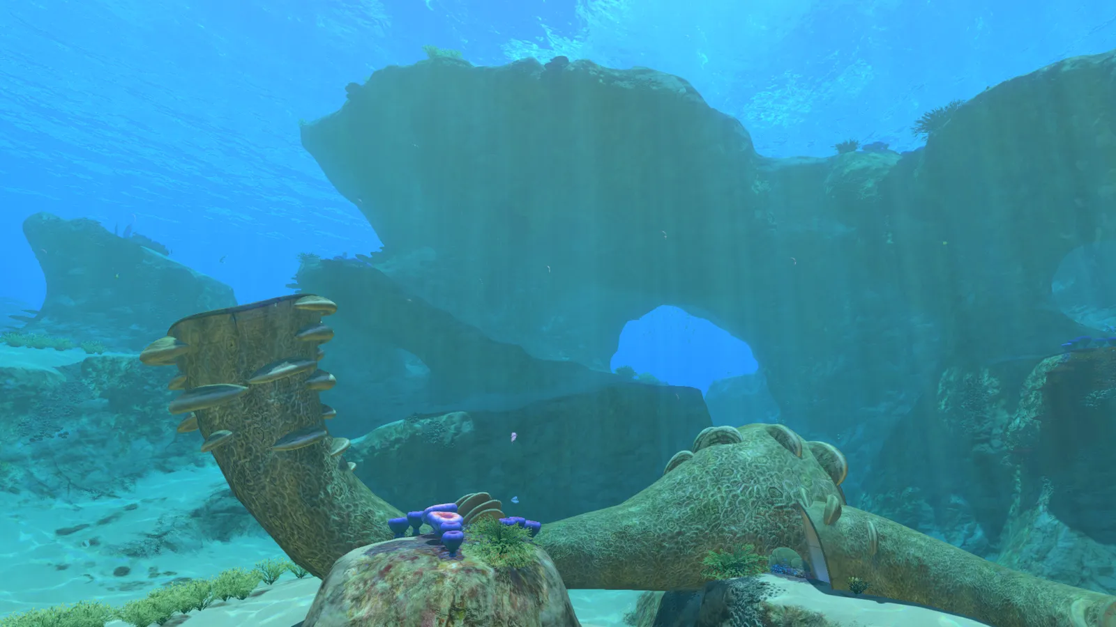 Official Subnautica wiki screenshot of the Safe Shallows
