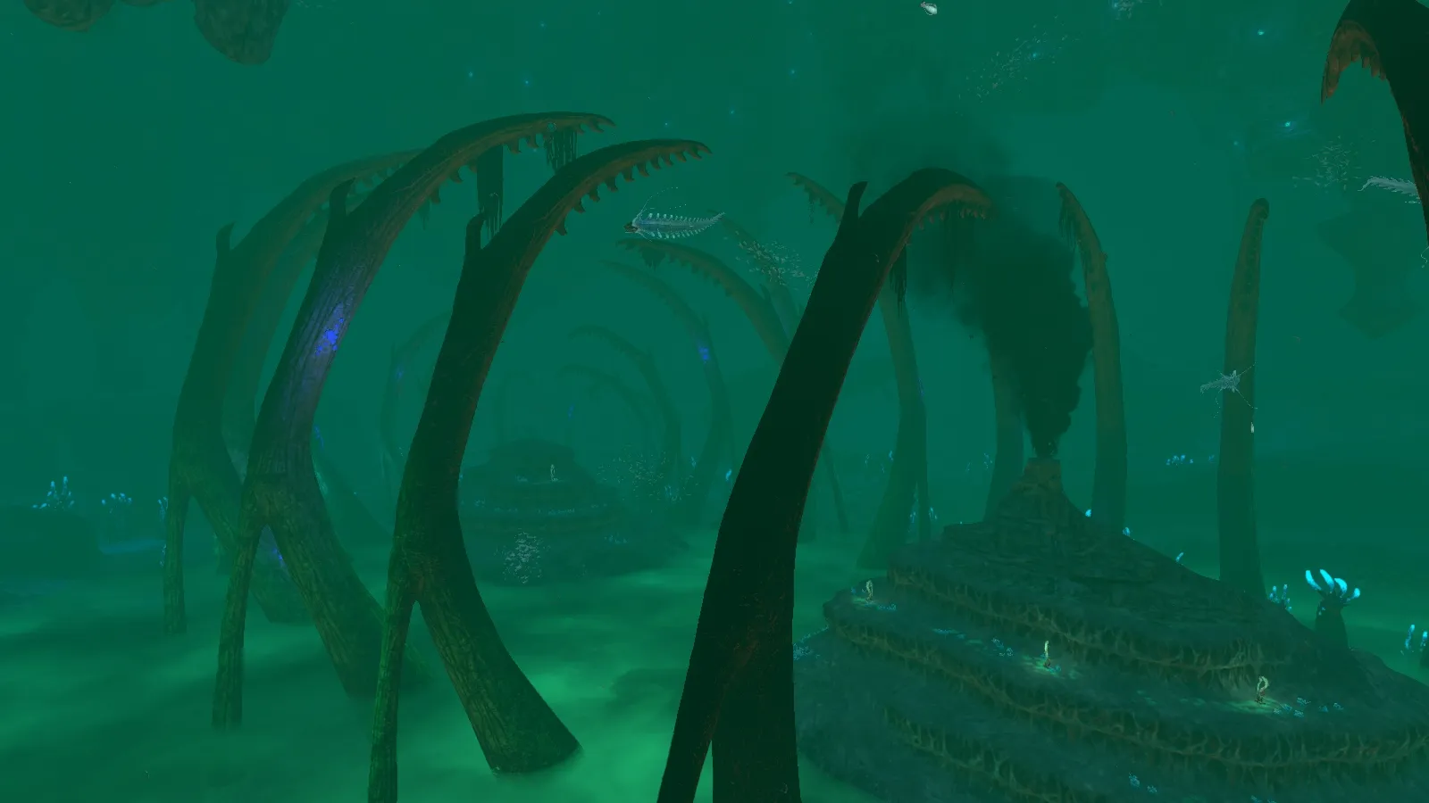Time Capsules are found while exploring the deeper biomes — official Subnautica Wiki asset